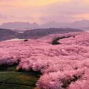安顺旅游 缩略图 3