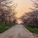 安顺旅游 缩略图 3