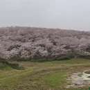 贵阳旅游 缩略图 3