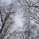安顺旅游 缩略图 6
