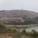 贵阳旅游 缩略图 4