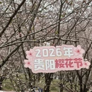 贵阳旅游 缩略图 6