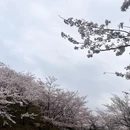 遵义旅游 缩略图 3