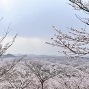 遵义旅游 缩略图 1