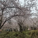 贵阳旅游 缩略图 8