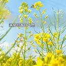 贵阳旅游 缩略图 13