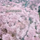 贵阳旅游 缩略图 4