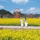 黔南旅游 缩略图 6