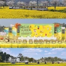 黔南旅游 缩略图 7