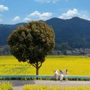黔南旅游 缩略图 3