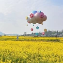 黔南旅游 缩略图 10