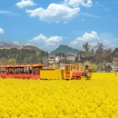 黔南旅游 缩略图 8