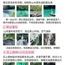 贵阳旅游 缩略图 6