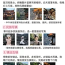 贵阳旅游 缩略图 7