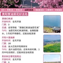 贵阳旅游 缩略图 7