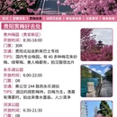 贵阳旅游 缩略图 5