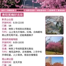 贵阳旅游 缩略图 4