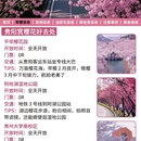贵阳旅游 缩略图 2