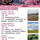 贵阳旅游 缩略图 9