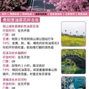贵阳旅游 缩略图 6