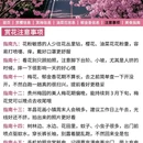贵阳旅游 缩略图 11