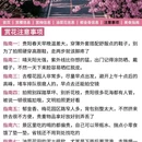 贵阳旅游 缩略图 10