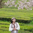 贵阳旅游 缩略图 10