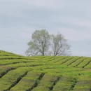贵阳旅游 缩略图 9