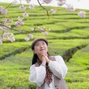 贵阳旅游 缩略图 7