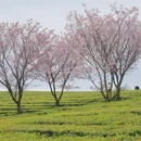 贵阳旅游 缩略图 6