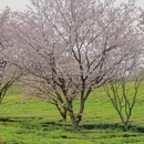 贵阳旅游 缩略图 11