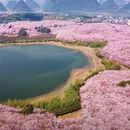 贵阳旅游 缩略图 4