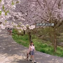 贵阳旅游 缩略图 4