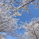贵阳旅游 缩略图 3