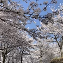 贵阳旅游 缩略图 1