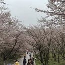 贵阳旅游 缩略图 7