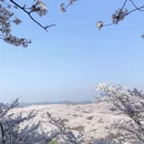 贵阳旅游 缩略图 7