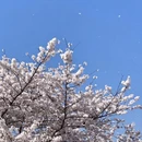贵阳旅游 缩略图 2