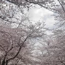 安顺旅游 缩略图 2
