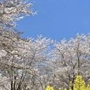 贵阳旅游 缩略图 6