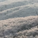 贵阳旅游 缩略图 2