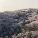 贵阳旅游 缩略图 3
