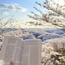 安顺旅游 缩略图 8