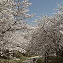 贵阳旅游 缩略图 5