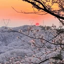 安顺旅游 缩略图 3