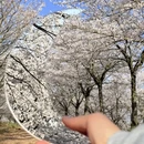安顺旅游 缩略图 4