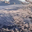 安顺旅游 缩略图 12