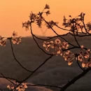 安顺旅游 缩略图 13