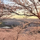 安顺旅游 缩略图 9