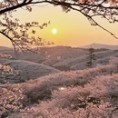 安顺旅游 缩略图 5